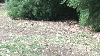 Cocoalicemodel (Coco Alice) OnlyFans Leaks Australian Blonde 19 yr old nudist 356