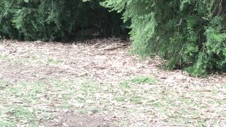 Cocoalicemodel (Coco Alice) OnlyFans Leaks Australian Blonde 19 yr old nudist 356