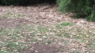 Cocoalicemodel (Coco Alice) OnlyFans Leaks Australian Blonde 19 yr old nudist 356