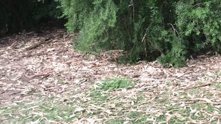 Cocoalicemodel (Coco Alice) OnlyFans Leaks Australian Blonde 19 yr old nudist 356