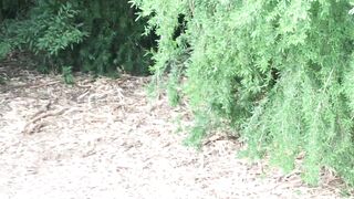 Cocoalicemodel (Coco Alice) OnlyFans Leaks Australian Blonde 19 yr old nudist 356