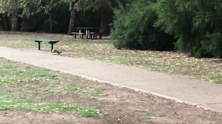 Cocoalicemodel (Coco Alice) OnlyFans Leaks Australian Blonde 19 yr old nudist 356