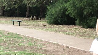 Cocoalicemodel (Coco Alice) OnlyFans Leaks Australian Blonde 19 yr old nudist 356