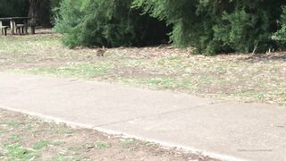 Cocoalicemodel (Coco Alice) OnlyFans Leaks Australian Blonde 19 yr old nudist 356