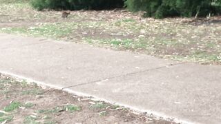 Cocoalicemodel (Coco Alice) OnlyFans Leaks Australian Blonde 19 yr old nudist 356