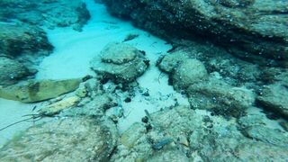 Cocoalicemodel (Coco Alice) OnlyFans Leaks Australian Blonde 19 yr old nudist 683