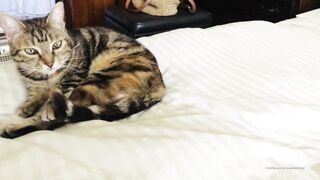 Cocoalicemodel (Coco Alice) OnlyFans Leaks Australian Blonde 19 yr old nudist 557