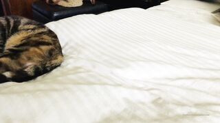 Cocoalicemodel (Coco Alice) OnlyFans Leaks Australian Blonde 19 yr old nudist 557