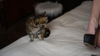 Cocoalicemodel (Coco Alice) OnlyFans Leaks Australian Blonde 19 yr old nudist 235