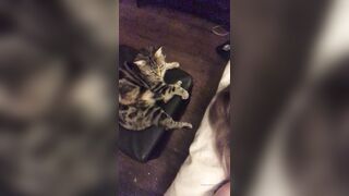 Cocoalicemodel (Coco Alice) OnlyFans Leaks Australian Blonde 19 yr old nudist 431