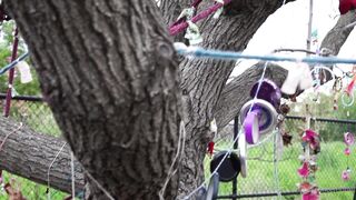 Cocoalicemodel (Coco Alice) OnlyFans Leaks Australian Blonde 19 yr old nudist 271