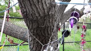 Cocoalicemodel (Coco Alice) OnlyFans Leaks Australian Blonde 19 yr old nudist 271