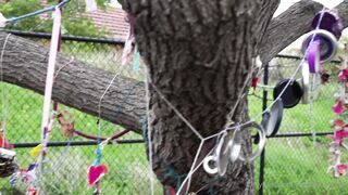 Cocoalicemodel (Coco Alice) OnlyFans Leaks Australian Blonde 19 yr old nudist 271