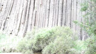 Cocoalicemodel (Coco Alice) OnlyFans Leaks Australian Blonde 19 yr old nudist 460