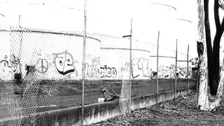 Cocoalicemodel (Coco Alice) OnlyFans Leaks Australian Blonde 19 yr old nudist 319