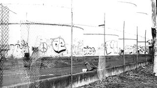 Cocoalicemodel (Coco Alice) OnlyFans Leaks Australian Blonde 19 yr old nudist 319