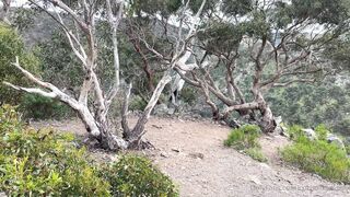 Cocoalicemodel (Coco Alice) OnlyFans Leaks Australian Blonde 19 yr old nudist 863