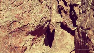 Cocoalicemodel (Coco Alice) OnlyFans Leaks Australian Blonde 19 yr old nudist 472