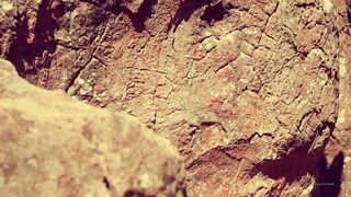 Cocoalicemodel (Coco Alice) OnlyFans Leaks Australian Blonde 19 yr old nudist 472