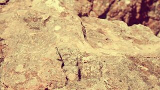 Cocoalicemodel (Coco Alice) OnlyFans Leaks Australian Blonde 19 yr old nudist 472