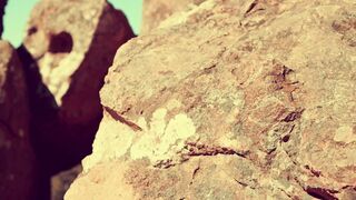 Cocoalicemodel (Coco Alice) OnlyFans Leaks Australian Blonde 19 yr old nudist 472