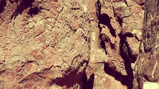 Cocoalicemodel (Coco Alice) OnlyFans Leaks Australian Blonde 19 yr old nudist 472