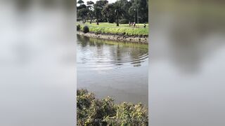 Cocoalicemodel (Coco Alice) OnlyFans Leaks Australian Blonde 19 yr old nudist 159