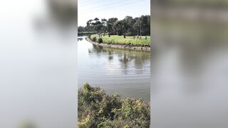 Cocoalicemodel (Coco Alice) OnlyFans Leaks Australian Blonde 19 yr old nudist 159