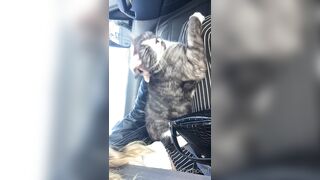 Cocoalicemodel (Coco Alice) OnlyFans Leaks Australian Blonde 19 yr old nudist 302