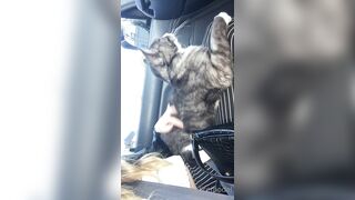 Cocoalicemodel (Coco Alice) OnlyFans Leaks Australian Blonde 19 yr old nudist 302