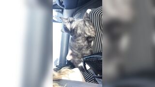 Cocoalicemodel (Coco Alice) OnlyFans Leaks Australian Blonde 19 yr old nudist 302