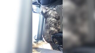 Cocoalicemodel (Coco Alice) OnlyFans Leaks Australian Blonde 19 yr old nudist 302