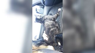 Cocoalicemodel (Coco Alice) OnlyFans Leaks Australian Blonde 19 yr old nudist 302