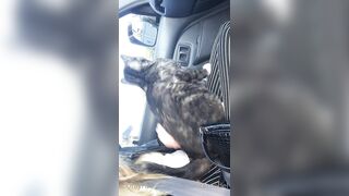 Cocoalicemodel (Coco Alice) OnlyFans Leaks Australian Blonde 19 yr old nudist 302