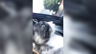 Cocoalicemodel (Coco Alice) OnlyFans Leaks Australian Blonde 19 yr old nudist 302