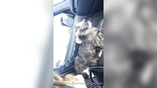 Cocoalicemodel (Coco Alice) OnlyFans Leaks Australian Blonde 19 yr old nudist 302