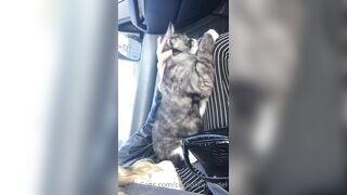 Cocoalicemodel (Coco Alice) OnlyFans Leaks Australian Blonde 19 yr old nudist 302