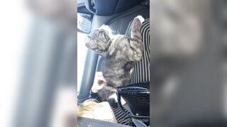 Cocoalicemodel (Coco Alice) OnlyFans Leaks Australian Blonde 19 yr old nudist 302