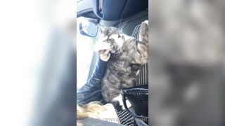 Cocoalicemodel (Coco Alice) OnlyFans Leaks Australian Blonde 19 yr old nudist 302