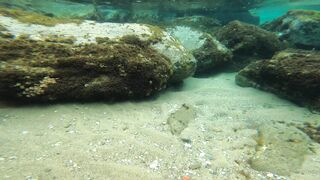 Cocoalicemodel (Coco Alice) OnlyFans Leaks Australian Blonde 19 yr old nudist 660