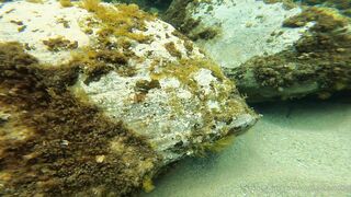 Cocoalicemodel (Coco Alice) OnlyFans Leaks Australian Blonde 19 yr old nudist 660