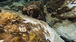 Cocoalicemodel (Coco Alice) OnlyFans Leaks Australian Blonde 19 yr old nudist 660