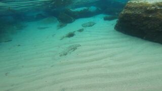 Cocoalicemodel (Coco Alice) OnlyFans Leaks Australian Blonde 19 yr old nudist 660