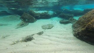 Cocoalicemodel (Coco Alice) OnlyFans Leaks Australian Blonde 19 yr old nudist 660