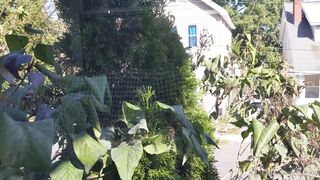 Lacevoid OnlyFans Leaks - I fucking love stroking my fat cock on the porch. I hope my neighbors appreciate it as much as you s_0001