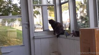 Lacevoid OnlyFans Leaks - The amazing and unexpected ending to yesterday's post. 