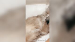 Belllexox (Belle) OnlyFans Leaks the Queen of Close-up 23