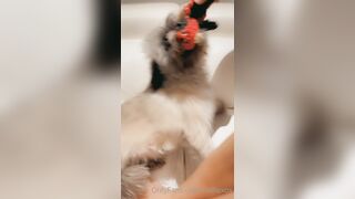 Belllexox (Belle) OnlyFans Leaks the Queen of Close-up 23