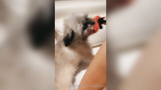 Belllexox (Belle) OnlyFans Leaks the Queen of Close-up 23