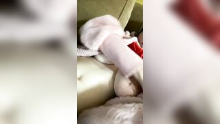 Lostpizzaslicez (Kay) OnlyFans Suicide Girl is a Cat Mom and a Psych Major 186